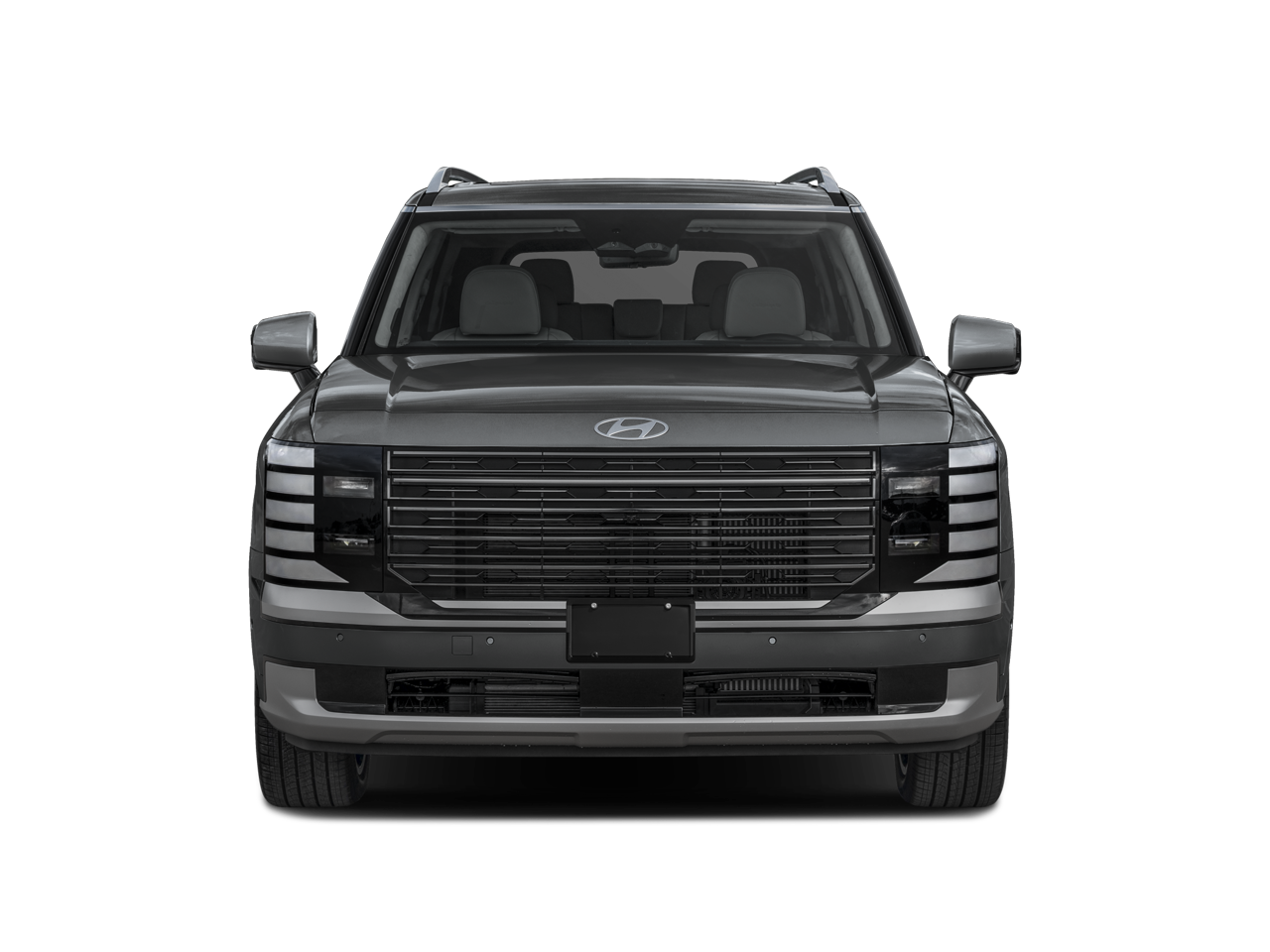 2026 Hyundai Palisade Calligraphy - Photo 14
