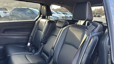 2024 Honda Odyssey Elite