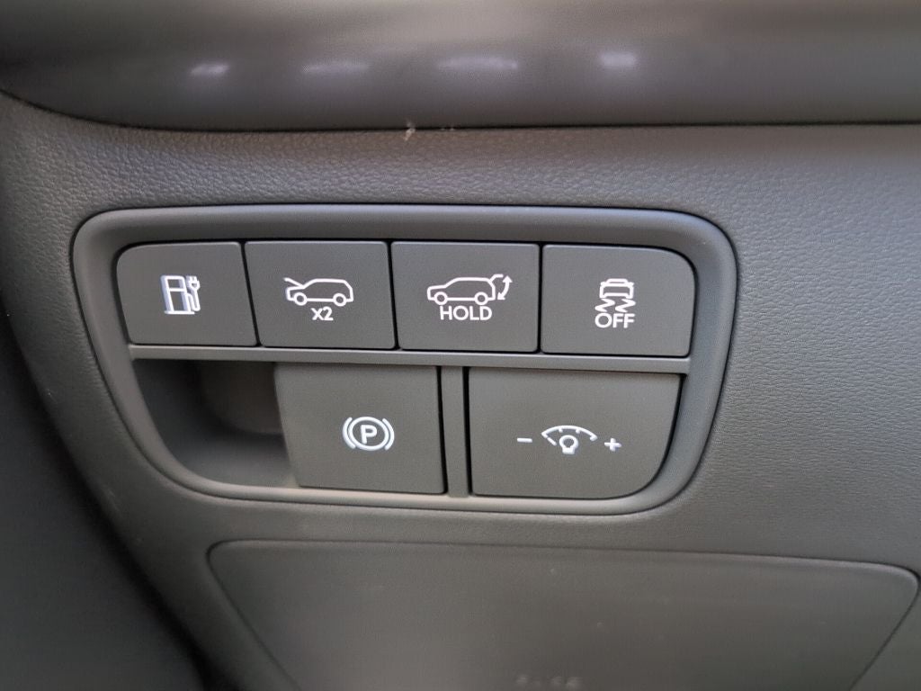 2026 Hyundai IONIQ 9 Performance Calligraphy