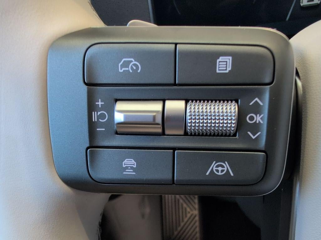 2026 Hyundai IONIQ 9 Performance Calligraphy